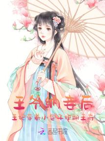 王爷纳妾后，王妃带着小包子炸翻王府