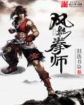 风影拳师